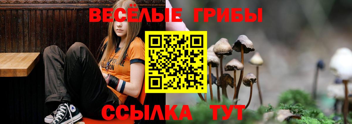 Галлюциногенные грибы ЛСД  Галлюциногенные грибы ЛСД  Углич  Вход с VPN 