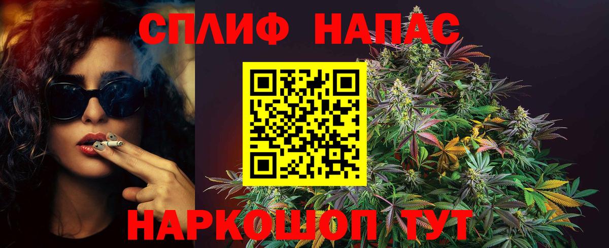 Каннабис сатива Углич